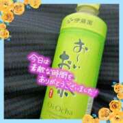 ヒメ日記 2026/02/17 14:16 投稿 えりか 大高・大府市・東海市ちゃんこ