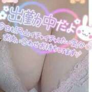 ヒメ日記 2026/04/21 08:33 投稿 えりか 大高・大府市・東海市ちゃんこ