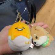 ヒメ日記 2025/01/31 15:41 投稿 きこ ポッキリ学園 ～モテモテハーレムごっこ～