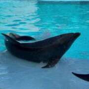 ヒメ日記 2025/02/05 18:51 投稿 きこ ポッキリ学園 ～モテモテハーレムごっこ～