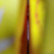 ヒメ日記 2025/02/17 16:41 投稿 きこ ポッキリ学園 ～モテモテハーレムごっこ～