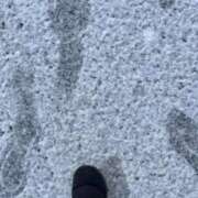 ヒメ日記 2025/02/20 10:01 投稿 きこ ポッキリ学園 ～モテモテハーレムごっこ～