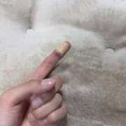 ヒメ日記 2025/04/28 16:29 投稿 きこ ポッキリ学園 ～モテモテハーレムごっこ～