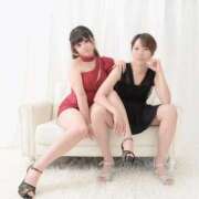 ヒメ日記 2025/07/02 21:22 投稿 きこ ポッキリ学園 ～モテモテハーレムごっこ～