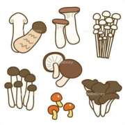 ヒメ日記 2025/12/05 18:02 投稿 きこ ポッキリ学園 ～モテモテハーレムごっこ～