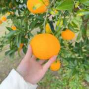 ヒメ日記 2025/12/30 13:11 投稿 きこ ポッキリ学園 ～モテモテハーレムごっこ～