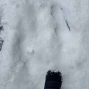 ヒメ日記 2026/02/09 13:06 投稿 きこ ポッキリ学園 ～モテモテハーレムごっこ～