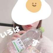 ヒメ日記 2025/01/17 18:44 投稿 小花いろは 池袋パラダイス