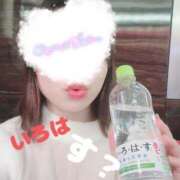 ヒメ日記 2025/02/19 14:14 投稿 小花いろは 池袋パラダイス