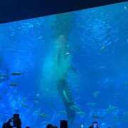 ヒメ日記 2025/04/21 22:19 投稿 小花いろは 池袋パラダイス