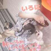 ヒメ日記 2025/10/12 23:02 投稿 小花いろは 池袋パラダイス