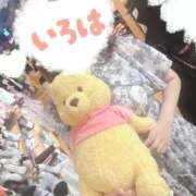 ヒメ日記 2025/11/02 00:29 投稿 小花いろは 池袋パラダイス