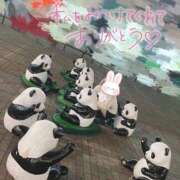 ヒメ日記 2025/11/09 12:59 投稿 小花いろは 池袋パラダイス