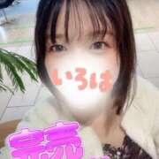 ヒメ日記 2026/02/26 16:49 投稿 小花いろは 池袋パラダイス