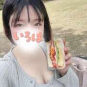 ヒメ日記 2026/04/24 14:19 投稿 小花いろは 池袋パラダイス