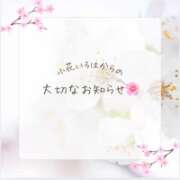 ヒメ日記 2026/06/27 13:18 投稿 小花いろは 池袋パラダイス
