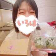 ヒメ日記 2026/06/29 02:41 投稿 小花いろは 池袋パラダイス
