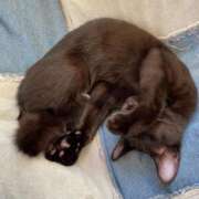 ヒメ日記 2024/12/14 14:47 投稿 坂本れお ハプニング痴漢電車or全裸入室