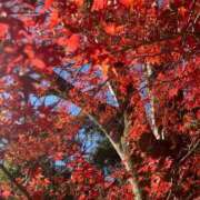 ヒメ日記 2024/12/18 12:15 投稿 夢野あんな Aroma Garden（アロマガーデン）