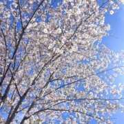 ヒメ日記 2025/04/07 23:15 投稿 夢野あんな Aroma Garden（アロマガーデン）