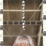 ヒメ日記 2025/04/16 08:28 投稿 夢野あんな Aroma Garden（アロマガーデン）