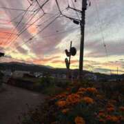 ヒメ日記 2025/11/06 21:08 投稿 夢野あんな Aroma Garden（アロマガーデン）