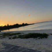 ヒメ日記 2025/07/21 06:56 投稿 しん Lesson.1 水戸校