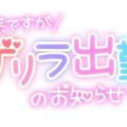 ヒメ日記 2024/10/17 11:15 投稿 はる 宮崎ちゃんこ都城店