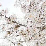 ヒメ日記 2026/03/23 10:41 投稿 ゆの 熟女の風俗最終章 宇都宮店