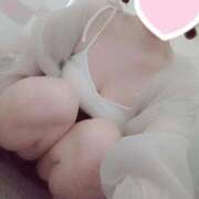 ヒメ日記 2025/04/14 07:57 投稿 かふか 香川高松ちゃんこ