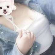 ヒメ日記 2025/10/14 22:06 投稿 かふか 香川高松ちゃんこ