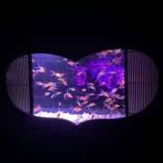 ヒメ日記 2025/07/09 14:58 投稿 こころ New Sky