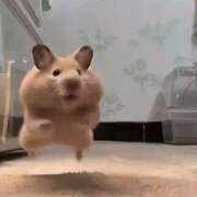 ヒメ日記 2026/04/03 14:20 投稿 こころ New Sky