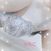 ヒメ日記 2025/08/17 10:37 投稿 ももこ 鶯谷おかあさん