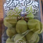 ヒメ日記 2025/09/04 23:26 投稿 ももこ 鶯谷おかあさん