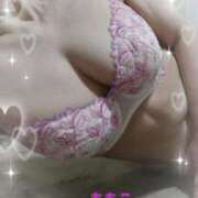 ヒメ日記 2025/09/29 08:35 投稿 ももこ 鶯谷おかあさん