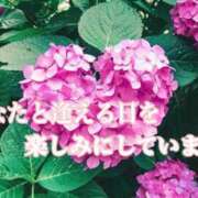 ヒメ日記 2025/06/25 09:13 投稿 まなみ★ 恵里亜(エリア)