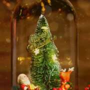 ヒメ日記 2025/12/25 21:00 投稿 まなみ★ 恵里亜(エリア)