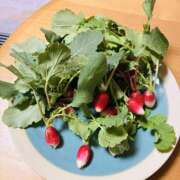 ヒメ日記 2026/01/24 12:00 投稿 まなみ★ 恵里亜(エリア)