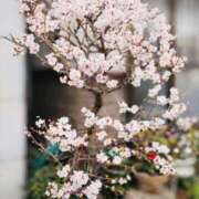 ヒメ日記 2026/02/27 11:31 投稿 まなみ★ 恵里亜(エリア)