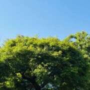 ヒメ日記 2026/05/02 11:30 投稿 まなみ★ 恵里亜(エリア)