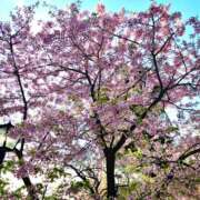 ヒメ日記 2025/03/11 06:36 投稿 れんか★ 恵里亜(エリア)