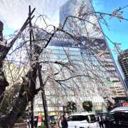 ヒメ日記 2025/04/05 06:36 投稿 れんか★ 恵里亜(エリア)