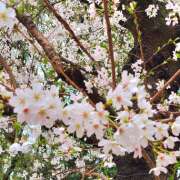 ヒメ日記 2025/04/08 06:34 投稿 れんか★ 恵里亜(エリア)