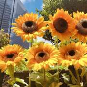 ヒメ日記 2025/08/04 05:57 投稿 れんか★ 恵里亜(エリア)