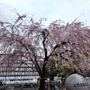 ヒメ日記 2026/03/26 17:24 投稿 れんか★ 恵里亜(エリア)