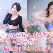 ヒメ日記 2026/09/05 23:30 投稿 れんか★ 恵里亜(エリア)