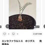 ヒメ日記 2025/10/03 04:17 投稿 えりな 三つ乱本館