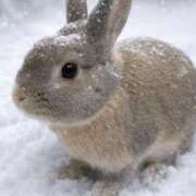 もも★ ⭐︎お礼⭐︎ レースクィーン