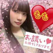 ヒメ日記 2026/04/23 11:24 投稿 もも★ レースクィーン